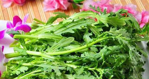 皇帝菜的营养价值_吃皇帝菜的好处