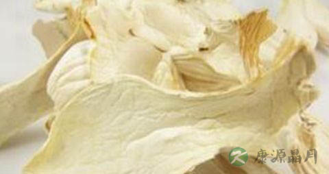 干贝菇的营养价值_吃干贝菇的好处