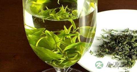 喝苦丁茶为什么恶心