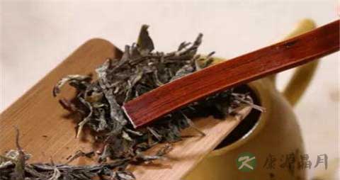 普洱属于什么茶