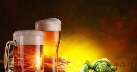 用啤酒能收缩毛孔吗