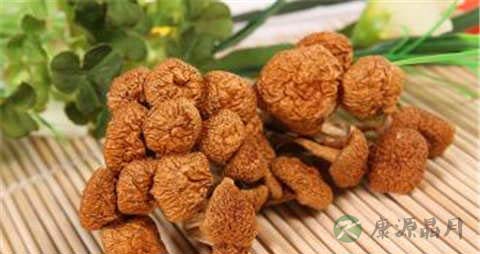滑子菇的营养价值_吃滑子菇的好处