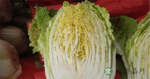 小白菜的营养价值_吃小白菜的好处
