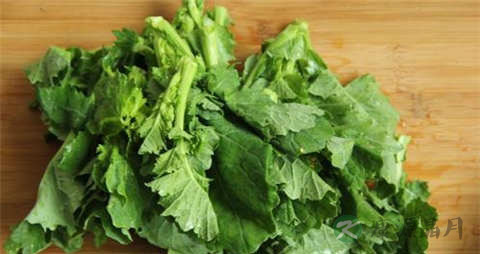 油菜苔的吃法_哪些人不能吃油菜苔
