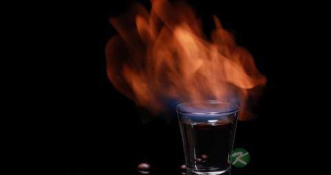 茴香酒的吃法_哪些人不能吃茴香酒