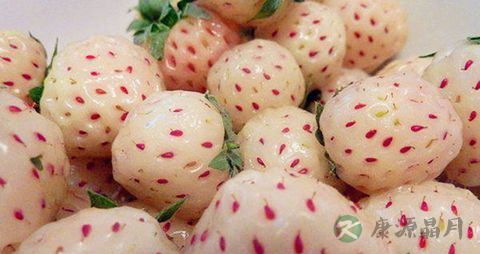 菠萝莓的营养价值_吃菠萝莓的好处