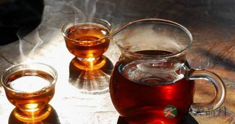 普洱茶怎么喝
