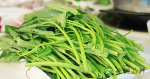 紫空心菜怎么做好吃