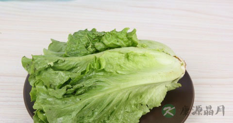 生菜的营养价值_吃生菜的好处