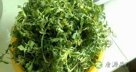 荠菜的营养价值_吃荠菜的好处