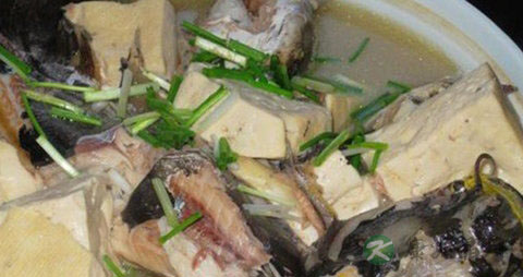 梭边鱼和鲶鱼的区别 梭边鱼和鲶鱼的区别