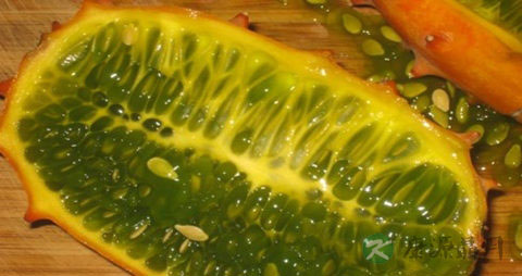 刺角瓜的吃法_哪些人不能吃刺角瓜