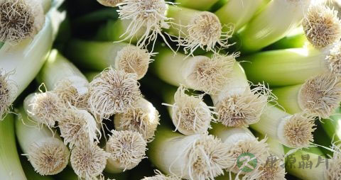 黑蒜皮的功效与作用