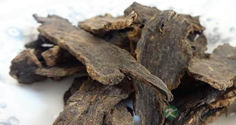 玄参的营养价值_吃玄参的好处