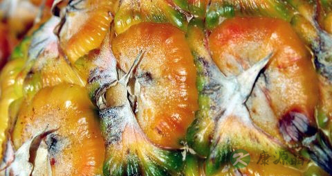 菠萝中间发黑能吃吗