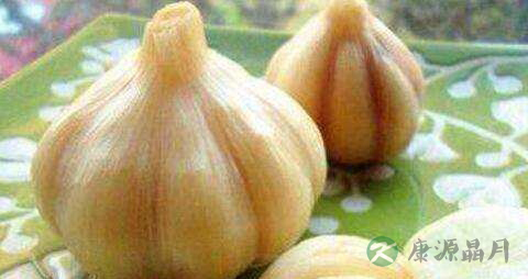 糖蒜和腊八蒜区别