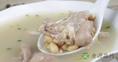 黄豆和什么煲汤最好