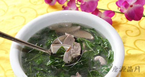 珍珠菜的吃法_哪些人不能吃珍珠菜