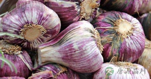 黑蒜皮的功效与作用
