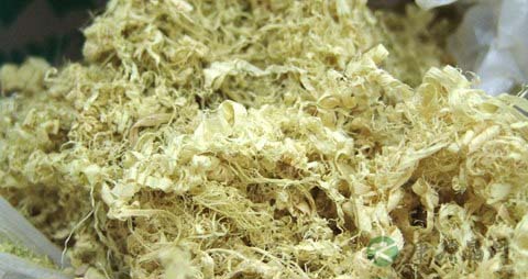 竹茹的营养价值_吃竹茹的好处