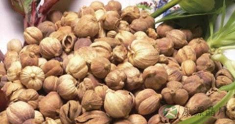 豆蔻的吃法_哪些人不能吃豆蔻