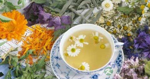 花草茶的营养价值_吃花草茶的好处