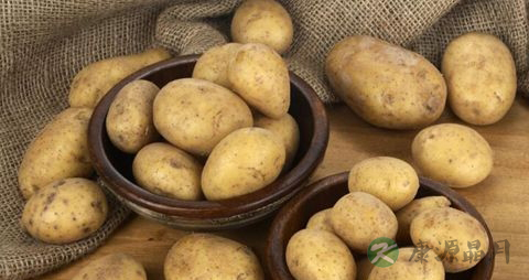 土豆的营养价值_吃土豆的好处