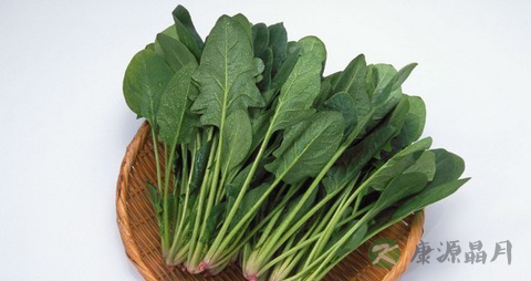 菠菜可以生吃吗