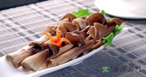 鸡枞菌的营养价值_吃鸡枞菌的好处