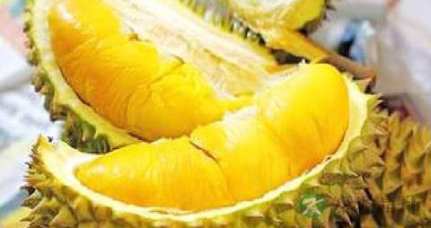 榴莲的吃法_哪些人不能吃榴莲