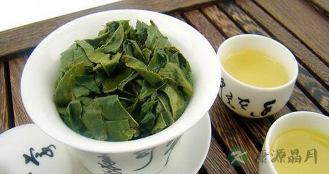 铁观音属于什么茶