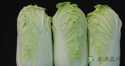 娃娃菜的营养价值_吃娃娃菜的好处