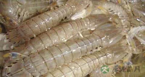 皮皮虾蒸多长时间最好