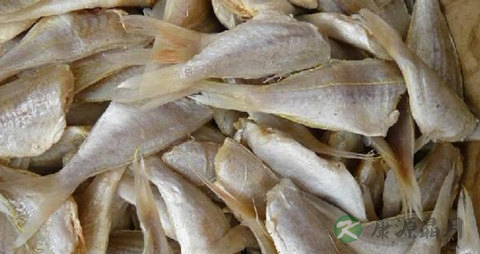 鱼片的营养价值_吃鱼片的好处 鱼片的营养价值_吃鱼片的好处