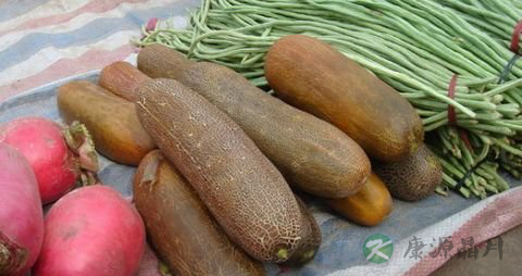 老黄瓜的功效和作用