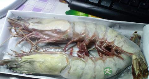 对虾的营养价值_吃对虾的好处