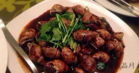 黄螺的吃法_哪些人不能吃黄螺