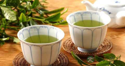 绿茶的营养价值_吃绿茶的好处