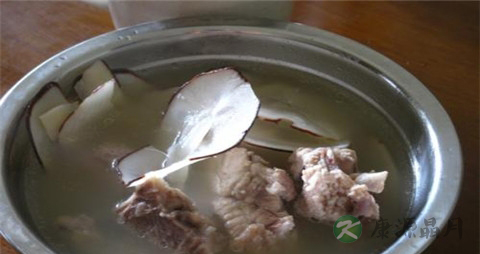 猪骨和什么煲汤好