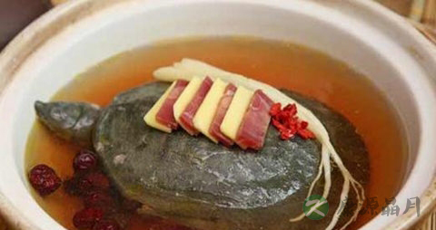 甲鱼汤的吃法_哪些人不能吃甲鱼汤