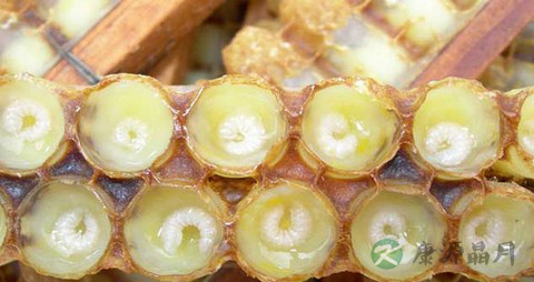 蜂王浆的吃法_哪些人不能吃蜂王浆