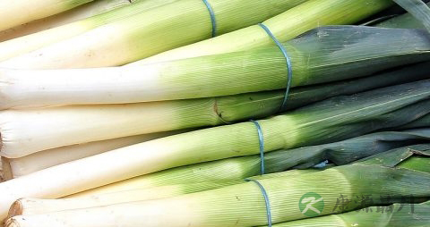 韭菜春卷怎么做