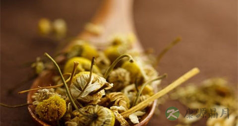菊花的吃法_哪些人不能吃菊花