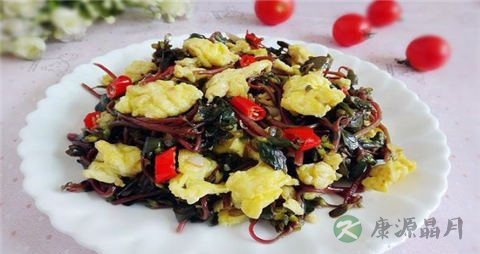 马齿苋能每天吃吗