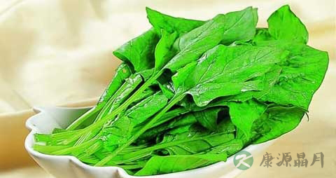 哪些食物含草酸高