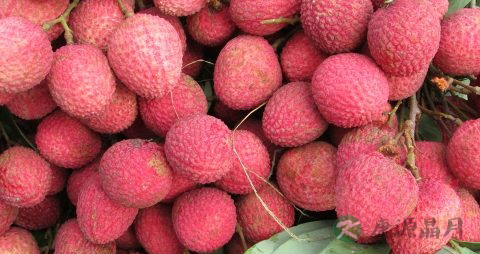 荔枝能放冰箱保存吗