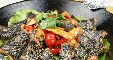 蛇肉的吃法_哪些人不能吃蛇肉