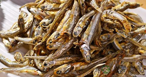 干银鱼的营养价值_吃干银鱼的好处