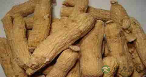 西洋参的营养价值_吃西洋参的好处