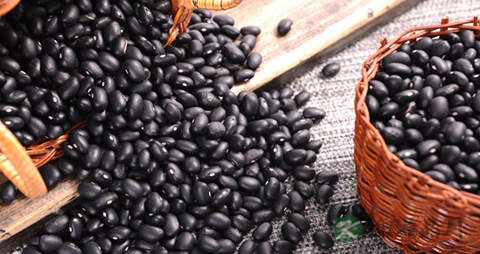 黑豆与黑芸豆的区别